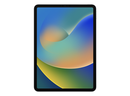 iPad Pro 11-inch (4th generation) Wi-Fi – iPadOS 17.x IPSW